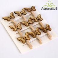 CSIPESZES LEPKE 2,5CM 9DB/ CS