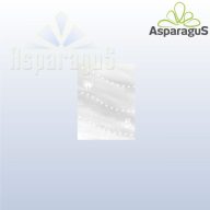 20X25 ITAL TASAK/GYÖNGYHÁZ/MACIS (50DB/CS)