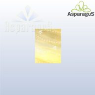 20X25 ITAL TASAK METÁL/ARANY/MACIS (50DB/CS)