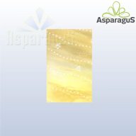 20X40 ITAL TASAK METÁL/ARANY/MACIS (50DB/CS)