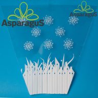   30CM MAGAS 35CMX15CM CSERÉPCSOM./MÉRETRE NYOMDÁZOTT 13CM-AS CSERÉPRE/FEHÉR (50DB/CS)