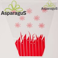   30CM MAGAS 35CMX15CM CSERÉPCSOM./MÉRETRE NYOMDÁZOTT 13CM-AS CSERÉPRE/PIROS (50DB/CS)