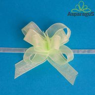 ORGANZA GYORSMASNI 2CMX50CM/VILÁGOSZÖLD ÚJ(10DB/CS)