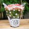 20CM MAGAS 26CMX12CM CSERÉPCSOM./MÉRETRE NYOMDÁZOTT/FEHÉR 9-10 CSERÉP (50DB/CS)