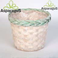 BAMBUSZ KASPÓ D:19 H:15CM/ ZÖLD