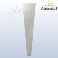 17-ES VIRÁGTASAK 70CM MAGASX5CM/NATÚR (50DB/CS)
