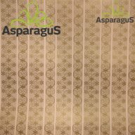 70X100 ÍV MŰNYOMÓ PAPÍR/ KRÉM-ARANY (5DB/CS)