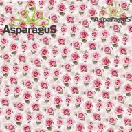 70X100 ÍV MŰNYOMÓ PAPÍR (5DB/CS)