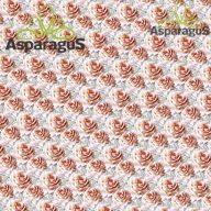 70X100 ÍV MŰNYOMÓ PAPÍR (5DB/CS)