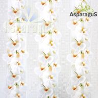 70X100 ÍV MŰNYOMÓ PAPÍR ORCHIDEÁS 1ÍV