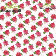 70X100 ÍV MŰNYOMÓ PAPÍR RÓZSÁS 1ÍV