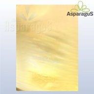 50X70 ÍV METÁL/ARANY (10DB/CS)