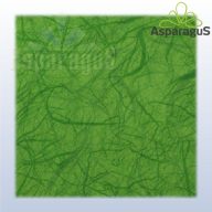 70X100 ÍV MATT FÓLIA IMPORT/FÜZÖLD PÓKHÁLÓS (2DB/CS)