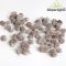 CASUARINA TERMÉS 0,25KG