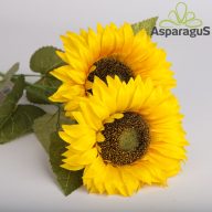 NAPRAFORGÓ 74CM