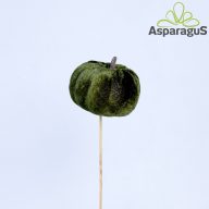 TÖK PLÜSS BETÜZŐ D:5x8CM H:27CM/ZÖLD (10DB/CS)