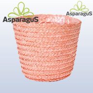 GYÉKÉNYKOSÁR 13CM/ BARACK