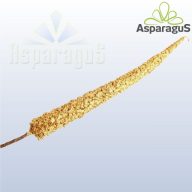 GLITTERES LEVÉL XY07-1324/ ARANY