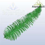 GLITTERES LEVÉL XY07-1357/ ZÖLD