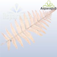 GLITTERES LEVÉL XY07-1358/ FEHÉR