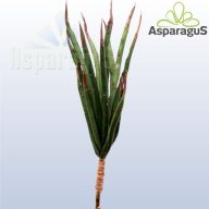 DEKOR VIRÁG 115CM