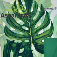 70X100 ÍV MATT FÓLIA IMPORT/FILODENDRON (50DB/CS)