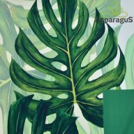 70X100 ÍV MATT FÓLIA IMPORT/FILODENDRON (50DB/CS)