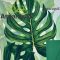 70X100 ÍV MATT FÓLIA IMPORT/FILODENDRON (50DB/CS)