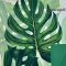 70X100 ÍV MATT FÓLIA IMPORT/FILODENDRON (50DB/CS)