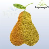 SIZÁL KÖRTE/ NAPSÁRGA