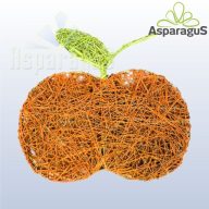 RATTAN ALMA/ NARANCS