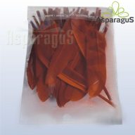 DEKOR TOLL/ BARNA (30DB/ CS)