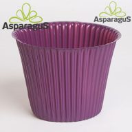 PVC KASPÓ/LILA D:12CM