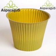 PVC KASPÓ/DOHÁNYZÖLD D:12CM