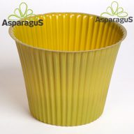 PVC KASPÓ/DOHÁNYZÖLD D:14CM