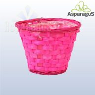 BAMBUSZ KASPÓ/ CIKLÁMEN