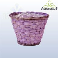 BAMBUSZ KASPÓ/ VILÁGOS LILA