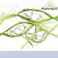 RATTAN CSOKORALAP/ DOHÁNYZÖLD (3DB/ CS)