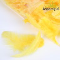 DEKOR TOLL/ NAPSÁRGA (10G/ CS)