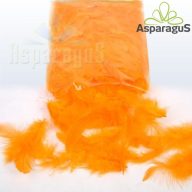 DEKOR TOLL/ NARANCS (10G/ CS)