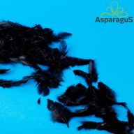 DEKOR TOLL/ FEKETE (10G/ CS)