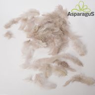 DEKOR TOLL/ SZÜRKE (10G/ CS)