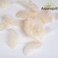 DEKOR TOLL/ HOMOK (10G/ CS)