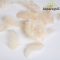 DEKOR TOLL/ HOMOK (10G/ CS)
