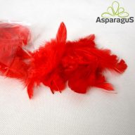 DEKOR TOLL/ PIROS (10G/ CS)