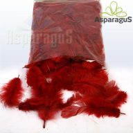 DEKOR TOLL/ BORDÓ (10G/ CS)