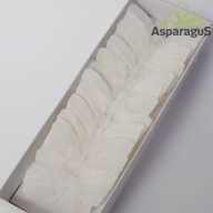 LEPKE DRÓTOS 8CM FEHÉR 12DB/ CS