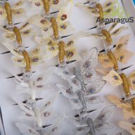 LEPKE CSIPESZES 5CM SZÍNES (24DB/CS)