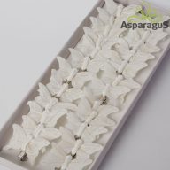 LEPKE CSIPESZES 5CM FEHÉR (24DB/CS)