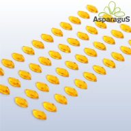 ÖNTAPADÓS STRASSZ CSISZOLT/NAPSÁRGA (48DB/CS)
